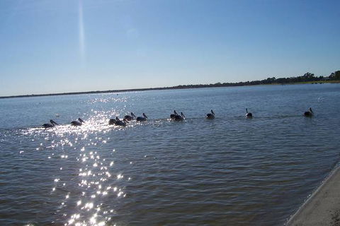 Discovery Holiday Parks - Lake Bonney - Accommodation BNB 1