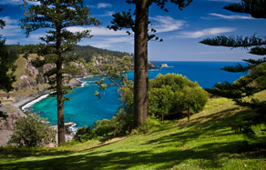 Forrester Court Cliff Top Cottages - Accommodation BNB 7