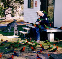 Inland Waters Holiday Parks Burrinjuck - Accommodation BNB