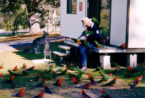 Inland Waters Holiday Parks Burrinjuck - Accommodation BNB 0