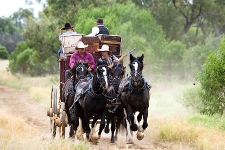 Kinnon & Co Outback Lodges - Accommodation BNB 6