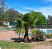 Lake Burrinjuck Leisure Resort - Accommodation BNB