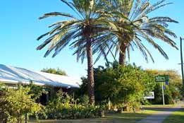 Merino Motor Inn - Accommodation BNB 0