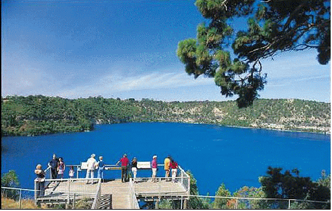Millicent Hillview Caravan Park - Accommodation BNB 0