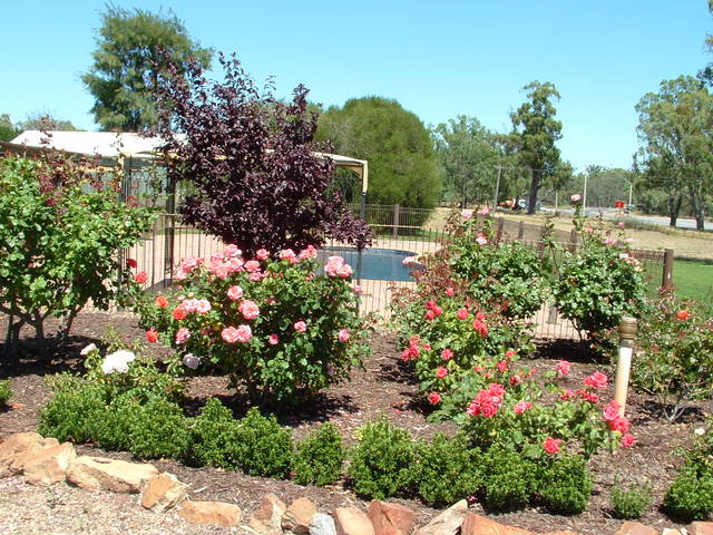 Gillenbah NSW Accommodation BNB