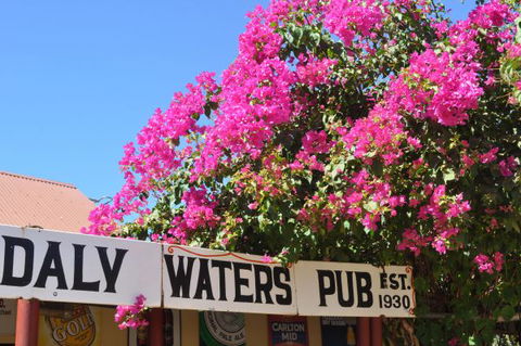 Daly Waters Historic Pub - Accommodation BNB 7