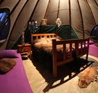 Aranyani Bison Adventure Tourist Park - Accommodation BNB