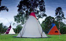 Aranyani Bison Adventure Tourist Park - Accommodation BNB 1