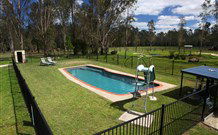 Aranyani Bison Adventure Tourist Park - Accommodation BNB 4
