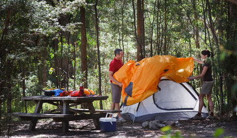 Bald Rock Campground And Picnic Area - Accommodation BNB 0