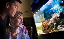 BIG4 Northstar Holiday Resort And Caravan Park - Accommodation BNB 4