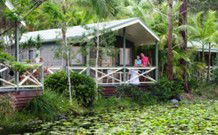 Darlington Beach NRMA Holiday Park - Accommodation BNB 4