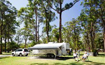 Darlington Beach NRMA Holiday Park - Accommodation BNB 6