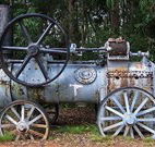 Dingo Tops campground - Accommodation BNB