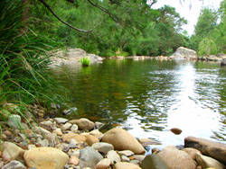 Riverwood Downs Mountain Valley Resort - Accommodation BNB 7