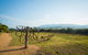 Stony Creek Farm B&B - thumb 2