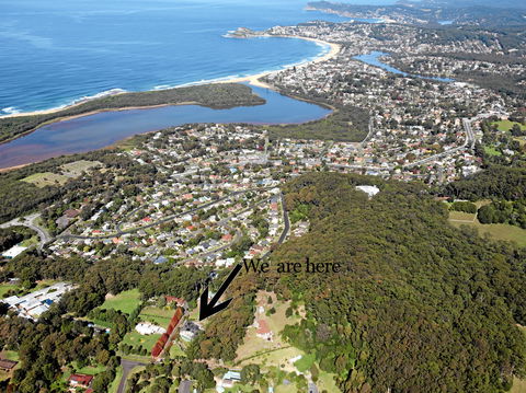 Terrigal Hinterland B&B - Accommodation BNB 9