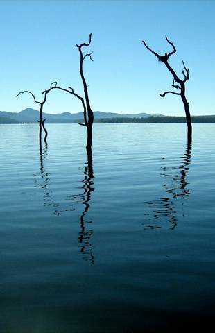 Tinaroo Lake Resort - Holiday Apartments - Accommodation BNB 11