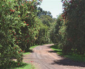 Margaret River Holiday Cottages - Accommodation BNB 2