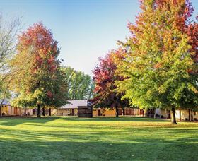 Laurel Hill Forest Lodge - Accommodation BNB 1