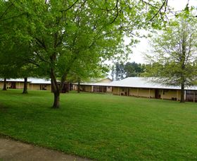 Laurel Hill Forest Lodge - Accommodation BNB 0