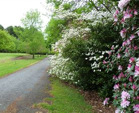 Laurel Hill Forest Lodge - Accommodation BNB 2