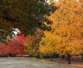 Laurel Hill Forest Lodge - Accommodation BNB 3