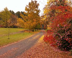 Laurel Hill Forest Lodge - Accommodation BNB 4