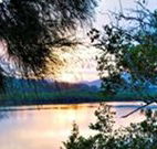 Tweed Coast Holiday Parks Hastings Point - Accommodation BNB