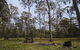 Horse Swamp Campground - thumb 1
