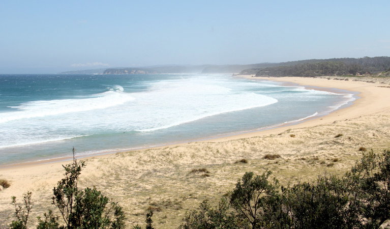 Tanja NSW Accommodation BNB