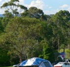 Milton Valley Holiday Park - Accommodation BNB