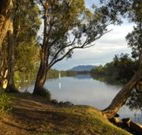 South West Rocks Tourist Park - South - Accommodation BNB