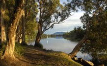 South West Rocks Tourist Park - South - Accommodation BNB 0