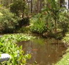 Tallowood Ridge B and B - Accommodation BNB