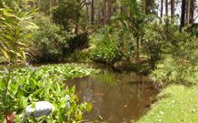 Tallowood Ridge B And B - Accommodation BNB 0
