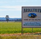 The Ardlethan Kelpie Caravan Park - Accommodation BNB