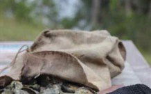 The Escape Luxury Camping - Accommodation BNB 3