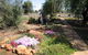 The Old School Caravan Park - thumb 3