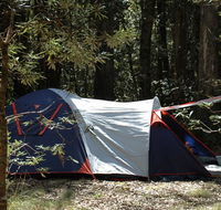 Thungutti campground - Accommodation BNB