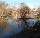 Warrawong on the Darling - Accommodation BNB