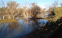 Warrawong On The Darling - Accommodation BNB 0