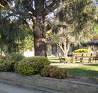 Hamilton Hume Motor Inn - Yass - Accommodation BNB