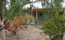Lightning Ridge Outback Resort And Caravan Park - Lightning Ridge - Accommodation BNB 3
