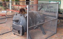 Lightning Ridge Outback Resort And Caravan Park - Lightning Ridge - Accommodation BNB 7