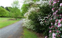 Laurel Hill Forest Lodge - Tumbarumba - Accommodation BNB 1