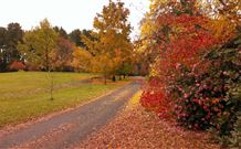 Laurel Hill Forest Lodge - Tumbarumba - Accommodation BNB 3