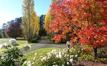 Melview Greens Apartments - Orange - Accommodation BNB 7
