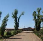 Newell Motor Inn - Narrandera - Accommodation BNB