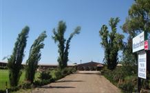 Newell Motor Inn - Narrandera - Accommodation BNB 0